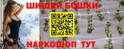 крисы Обь