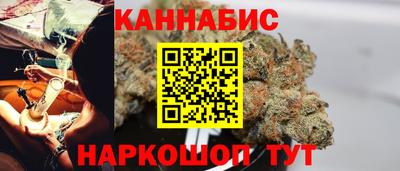 крисы Обь