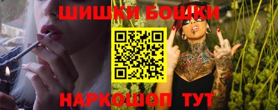крисы Обь