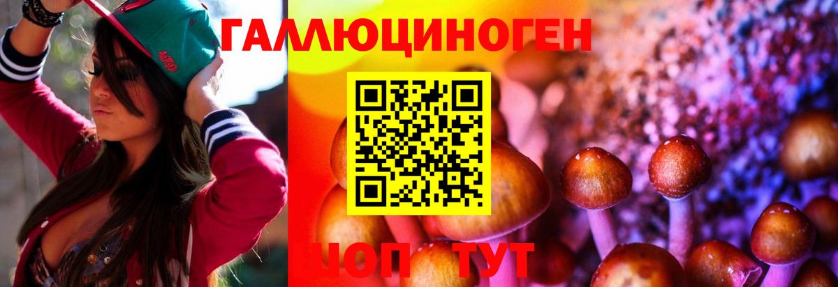 Смоленск  Псилоцибиновые грибы GOLDEN TEACHER  Вход с VPN 